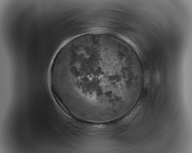 X0000097811467200803201408