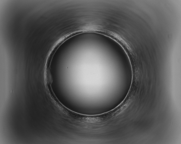 X0000097811469200803201408
