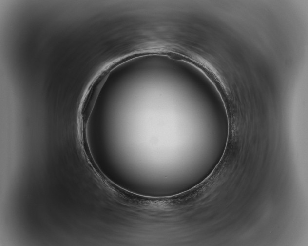 X0000097811472200803201408