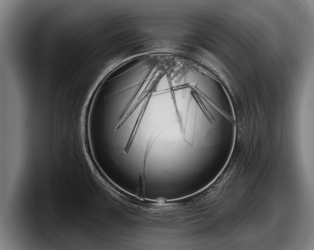 X0000097811483200803201407