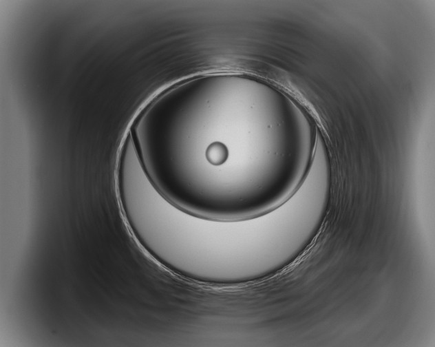 X0000097811484200803201407