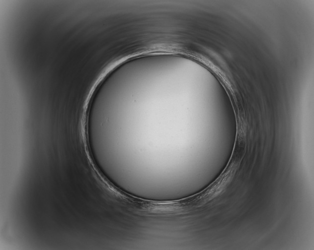 X0000097811486200803201407