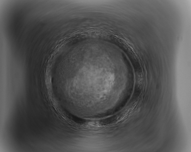 X0000097811489200803201407
