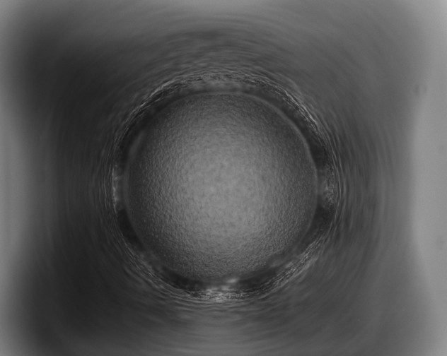X0000097811490200803201407