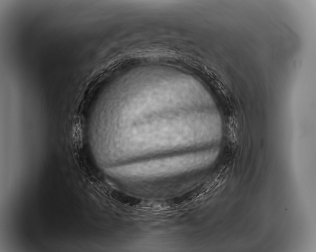 X0000097811493200803201407