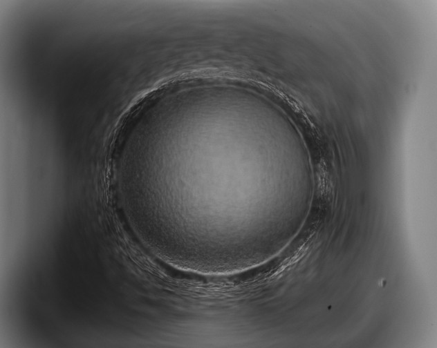 X0000097811494200803201407