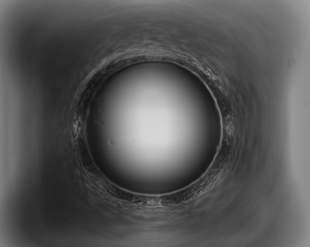 X0000097811495200803201407