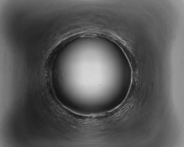 X0000097811496200803201407