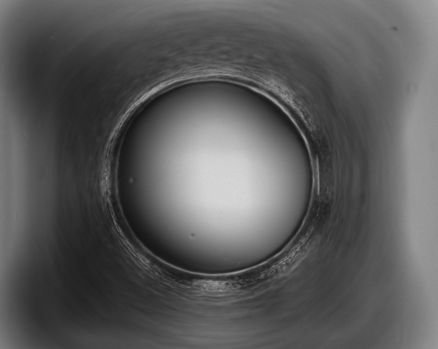 X0000097811500200803201407