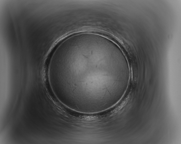 X0000097811501200803201407