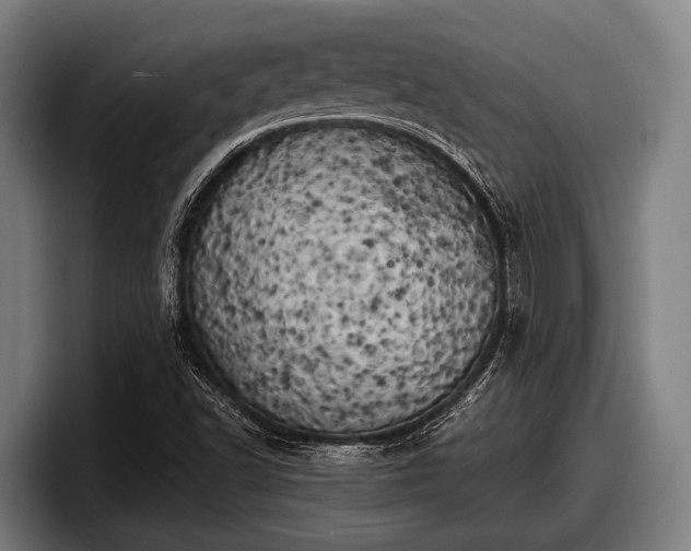 X0000097811502200803201407