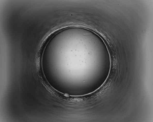 X0000097811503200803201407