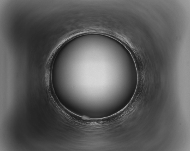 X0000097811504200803201407