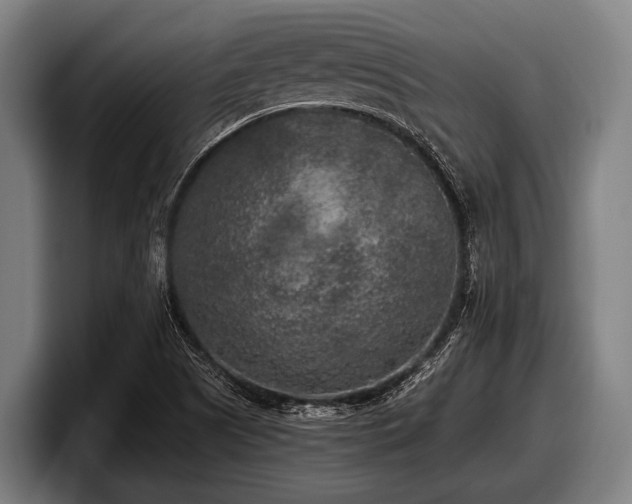 X0000097811505200803201407