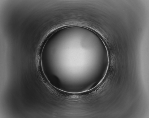 X0000097811507200803201407