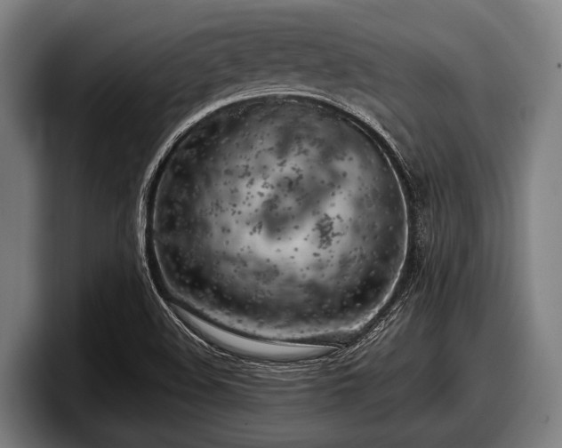 X0000097811508200803201407