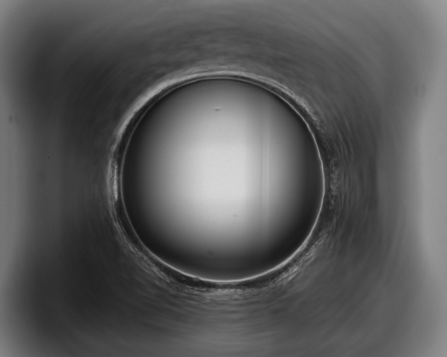 X0000097811510200803201407