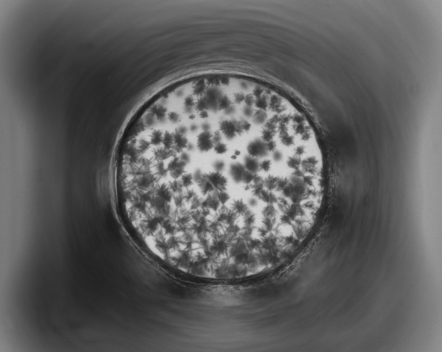 X0000097811514200803201407