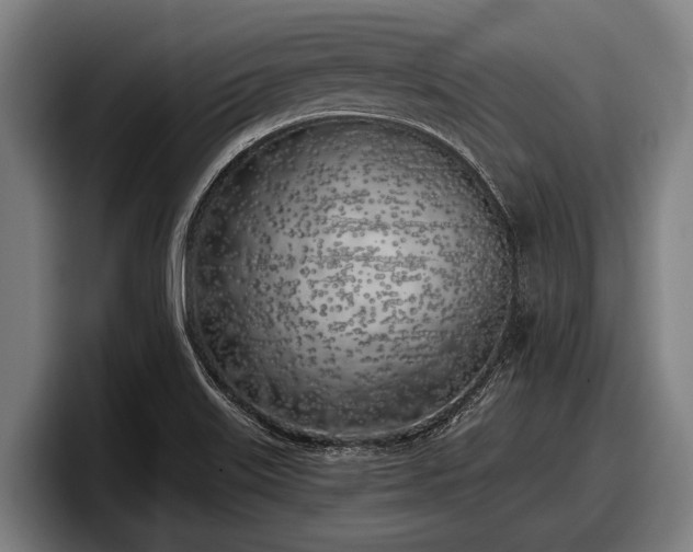 X0000097811515200803201407
