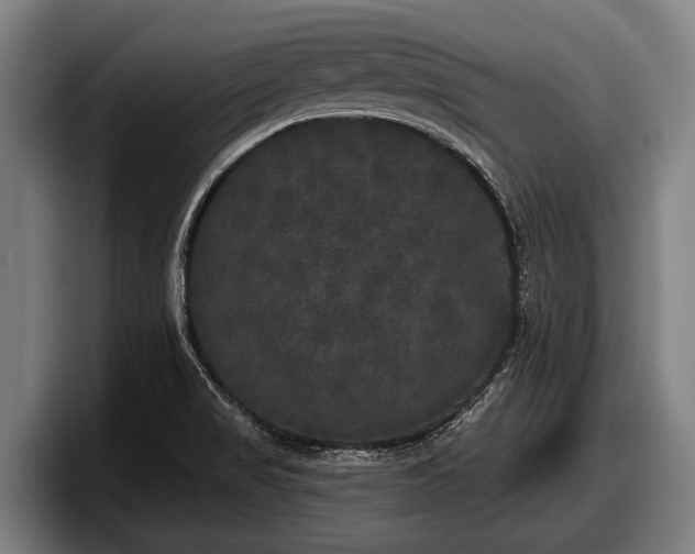 X0000097811517200803201407