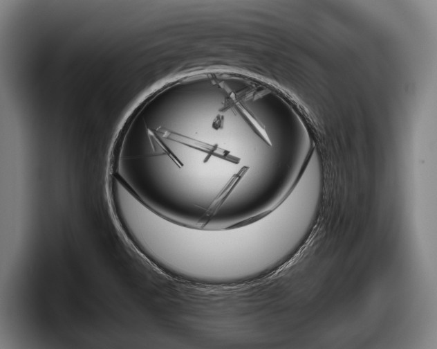 X0000097811518200803201407
