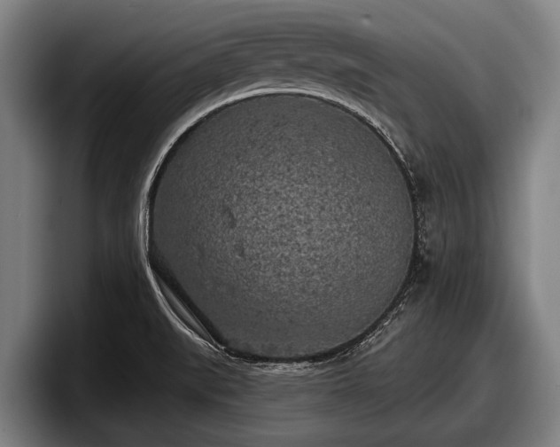 X0000097811519200803201407