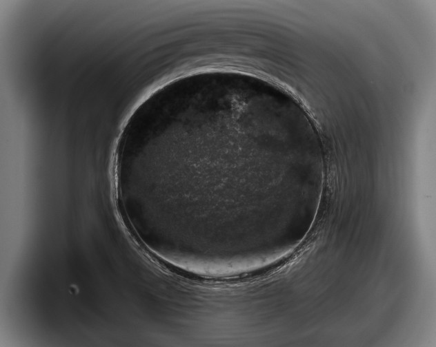 X0000097811522200803201407