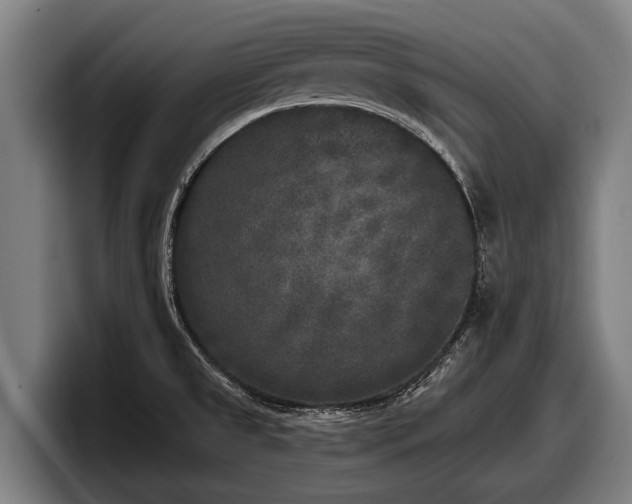 X0000097811525200803201407