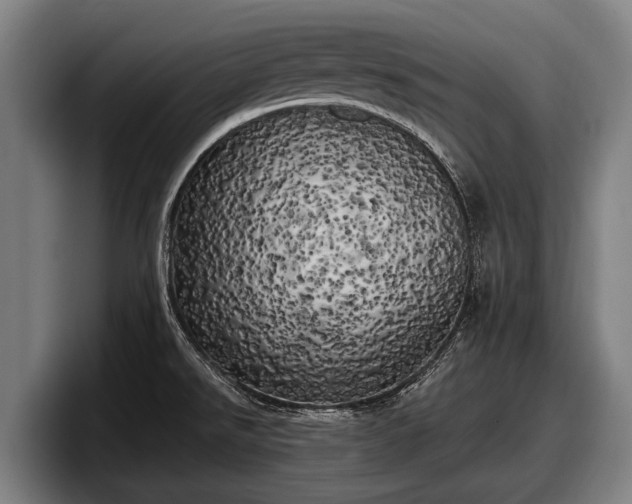 X0000097811526200803201407