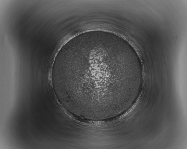 X0000097811529200803201407