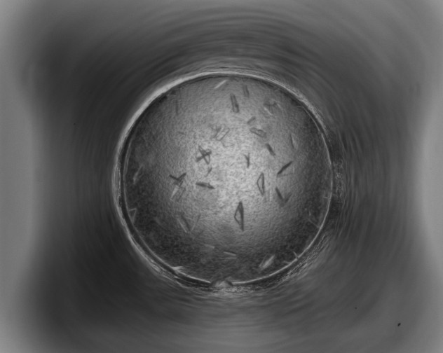 X0000097811531200803201407