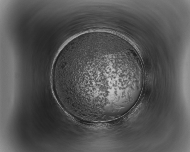 X0000097811533200803201407