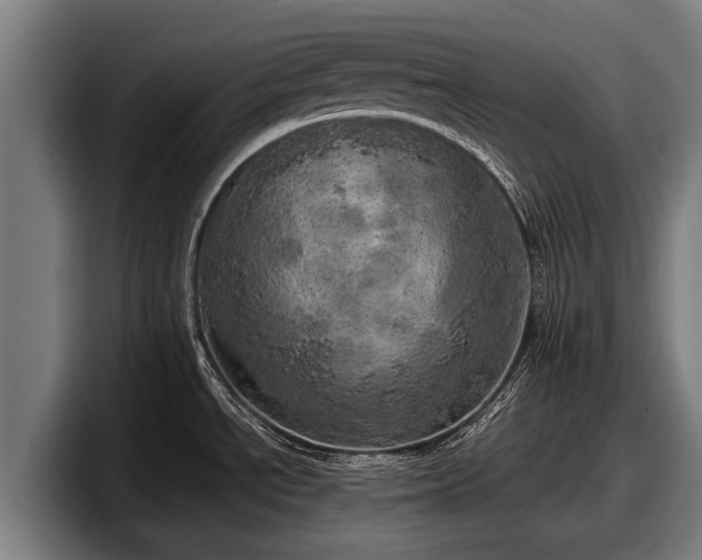 X0000097811534200803201407