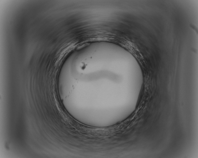 X0000097810001200803281109