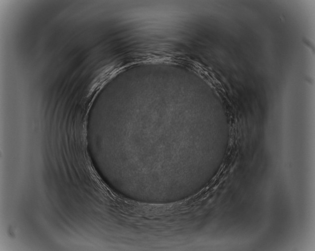 X0000097810002200803281109