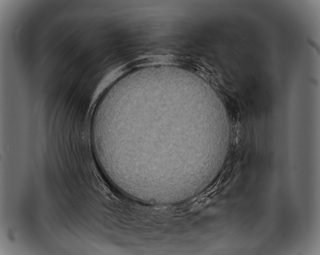 X0000097810004200803281109