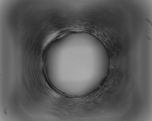 X0000097810005200803281109