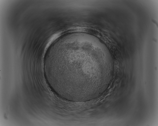 X0000097810006200803281109