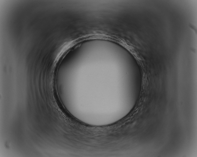 X0000097810007200803281109