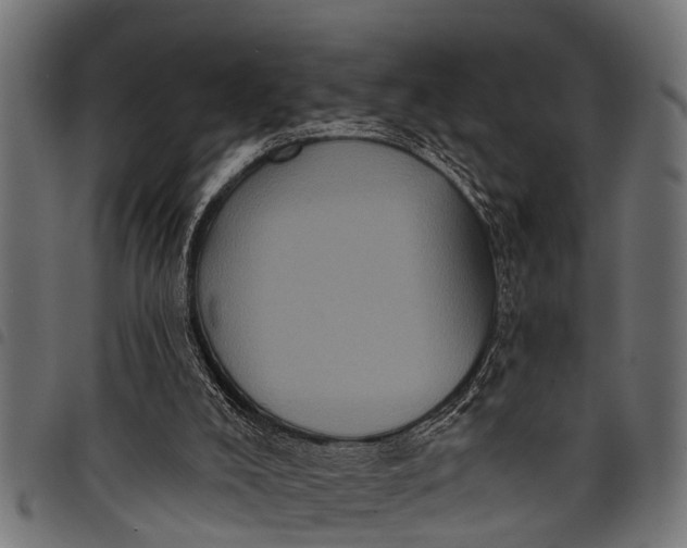 X0000097810008200803281109