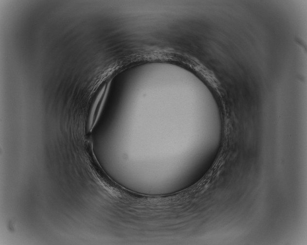 X0000097810009200803281109