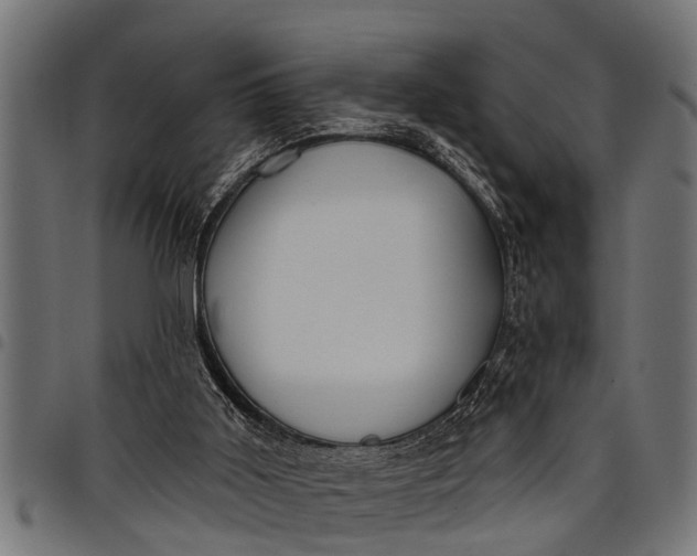 X0000097810011200803281109