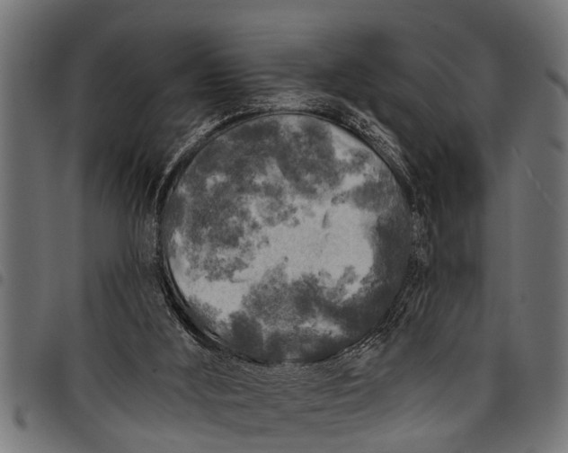 X0000097810012200803281109