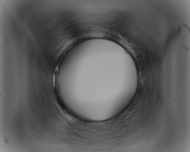 X0000097810013200803281109