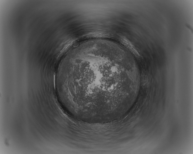 X0000097810014200803281109