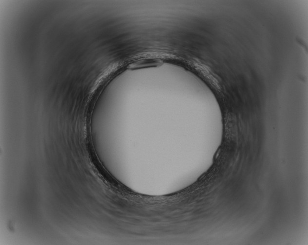 X0000097810015200803281109