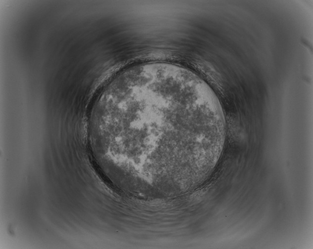 X0000097810016200803281109