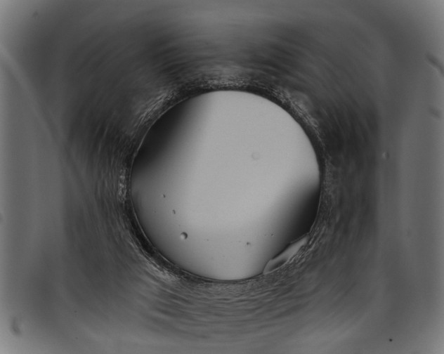 X0000097810017200803281109