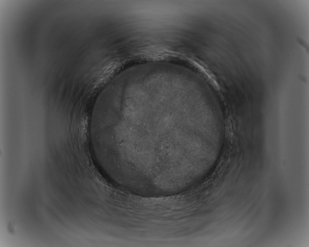 X0000097810018200803281109