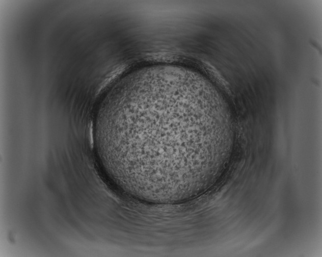 X0000097810020200803281109